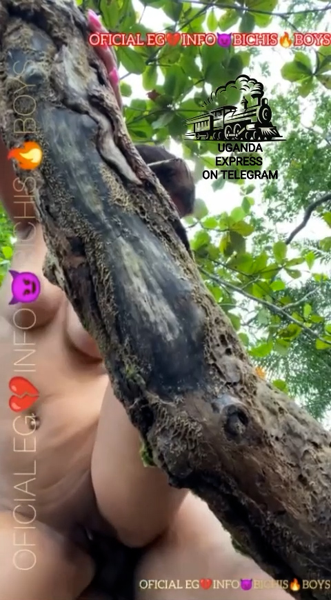 Baltasar Engonga Public Porn video telegram trend so hot